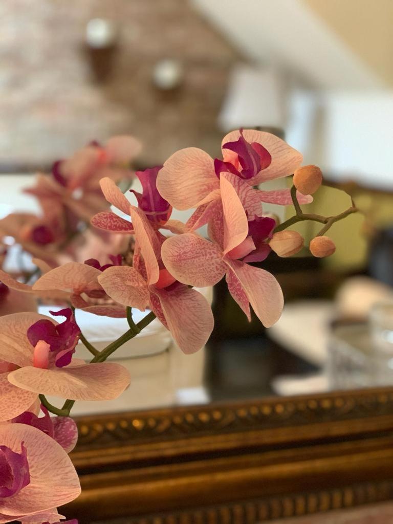 Hostal Villa Toscana Guatemala City Ngoại thất bức ảnh