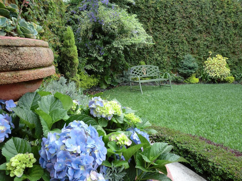Hostal Villa Toscana Guatemala City Ngoại thất bức ảnh